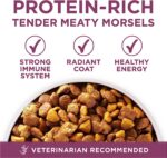 Purina ONE Plus Healthy Puppy Formula High Protein - Image 2