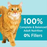 IAMS PROACTIVE HEALTH Adult  Weight Control Dry Cat Food - Image 3