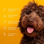Arm & Hammer Super Deodorizing Shampoo For Dogs - Image 4
