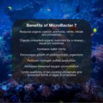 MicroBacter7 - Bacteria & Water Conditioner for Fish Tank or Aquarium - Image 3
