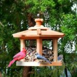 Solution4Patio Hexagon Shaped Gazebo Bird Feeder - Image 4