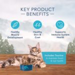 Blue Buffalo Wilderness High Protein, Adult Dry Cat Food - Image 3