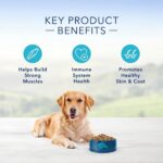 Blue Buffalo Life Protection Formula Natural Adult Dry Dog Food - Image 3