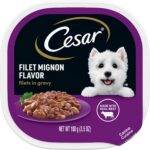 CESAR Adult Soft Wet Dog Food Filets in Gravy