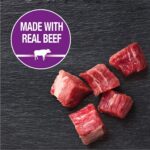 CESAR Adult Soft Wet Dog Food Filets in Gravy - Image 2