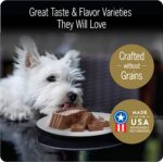 CESAR Adult Soft Wet Dog Food Filets in Gravy - Image 3