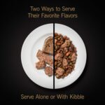 CESAR Adult Soft Wet Dog Food Filets in Gravy - Image 4