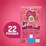 Purina Friskies Dry Cat Food, Gravy Swirlers - Image 3