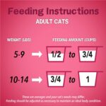 Purina Friskies Dry Cat Food, Gravy Swirlers - Image 4