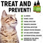 GoldenPaw Herbal Pet Supplement for Cat - Image 4