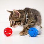 HARTZ Just For Cats Toy Variety Pack - 13 Piece - Image 2