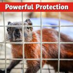 I Must Garden Squirrel Repellent - 3lb Granular - Image 3