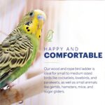 Prevue Pet Products Naturals Rope Ladder Bird Toy - Image 2
