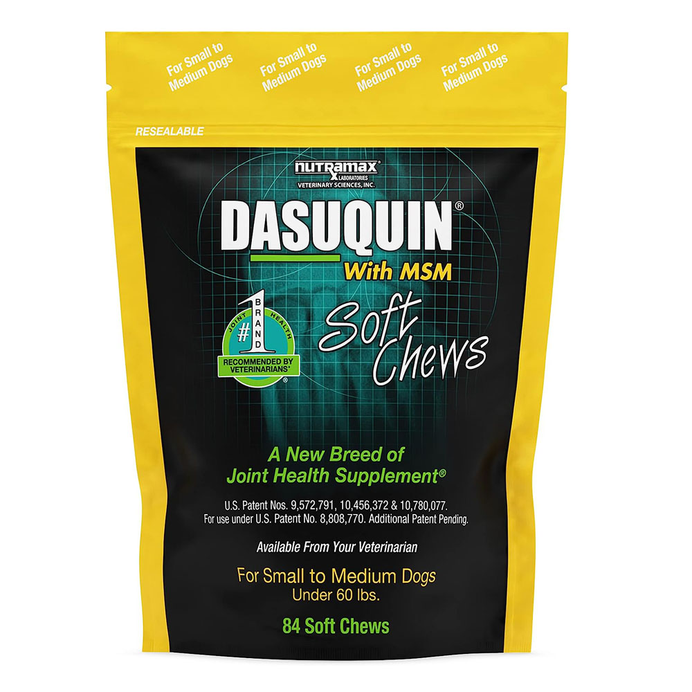 n1.jpg Nutramax Dasuquin with MSM Joint Health Supplement for Dogs - Image 1