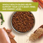 Rachael Ray Nutrish Premium Natural Dry Cat Food - Image 2