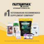Nutramax Dasuquin with MSM Joint Health Supplement for Dogs - Image 3