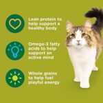 Rachael Ray Nutrish Premium Natural Dry Cat Food - Image 3