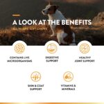 NaturVet All-in-One Dog Supplement - for Joint Support, Digestion & Skin - Image 3