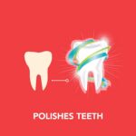 Petrodex Enzymatic Toothpaste for Dogs - Image 3
