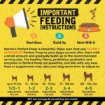 Perfect Poop Digestion & General Health Supplement for Dogs - Image 4