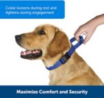 PetSafe Martingale Collar with Quick Snap Buckle - Image 2