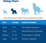 PetSafe Martingale Collar with Quick Snap Buckle - Image 3