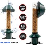 Roamwild PestOff Squirrel Proof Wild Bird Feeder - Image 2