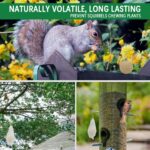 SUAVEC Squirrel Repellent Outdoor - Image 3