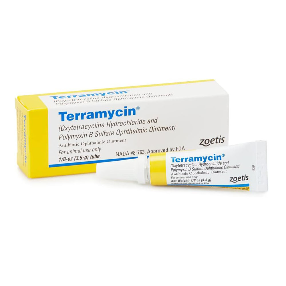 t1-2.jpg Terramycin Antibiotic Ointment for Eye Infection Treatment in Cats - Image 1