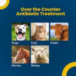 Terramycin Antibiotic Ointment for Eye Infection Treatment in Cats - Image 3