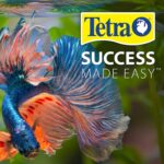 Tetra AquaSafe Plus 16.9 Ounces, aquarium Water Conditioner And Dechlorinator - Image 4