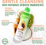 TropiClean 2-in-1 Papaya & Coconut Dog Shampoo and Conditioner - Image 2