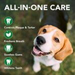 Vet’s Best Dog Toothbrush and Enzymatic Toothpaste Set - Image 3