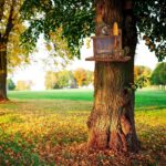 VASGOR Wood Squirrel Feeder - Image 3