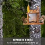 VASGOR Wood Squirrel Feeder - Image 4