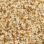 Wild Harvest Daily Blend Nutrition Diet for Parakeet - Image 3