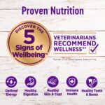 Wellness Complete Health Dry Dog Food with Grains, Natural Ingredients, Made in USA with Real Meat - Image 2