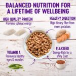 Wellness Complete Health Dry Dog Food with Grains, Natural Ingredients, Made in USA with Real Meat - Image 3