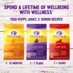 Wellness Complete Health Dry Dog Food with Grains, Natural Ingredients, Made in USA with Real Meat - Image 4