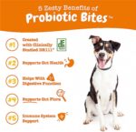 Zesty Paws Probiotics for Dogs - Digestive Enzymes for Gut Flora - Image 2